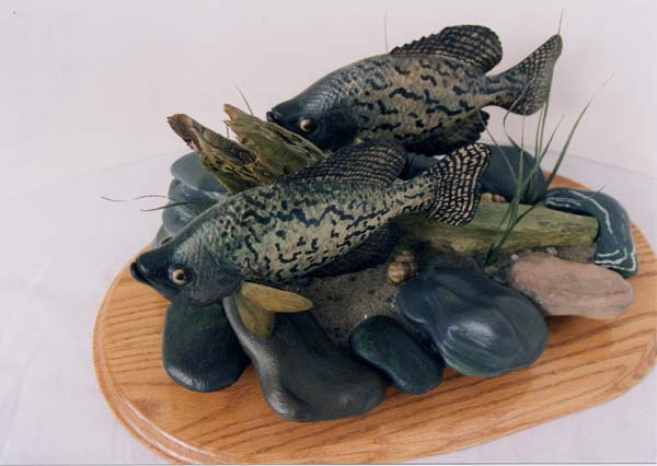 Picture of Black Crappie