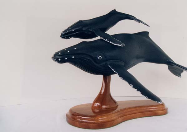 Picture of Humpback Whale