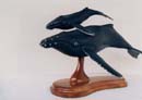 Link to Humpback Whale Picture