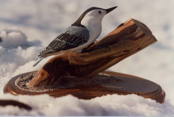 Picture of White Breasted Nuthatch
