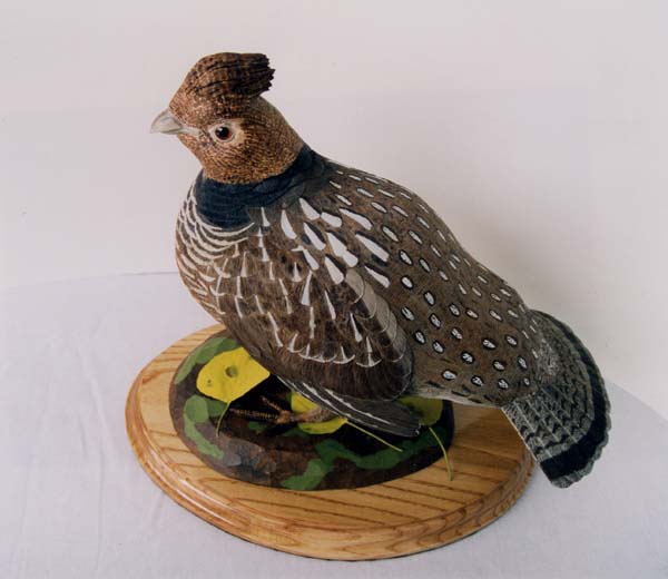 Picture of Ruffed Grouse