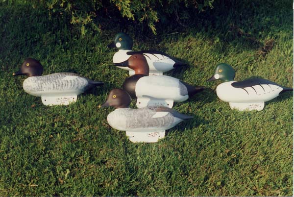 Picture of Working Decoys